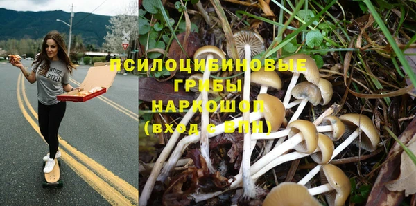 гашишное масло Аркадак